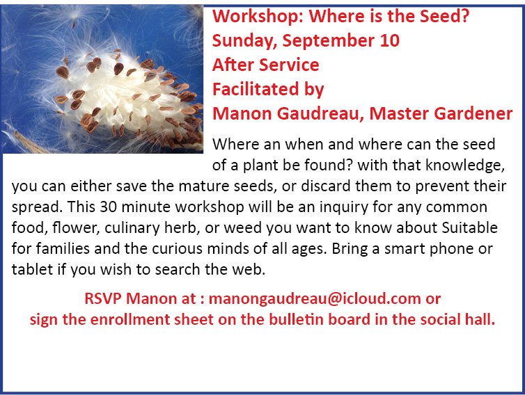 Seed Workshop